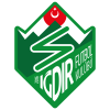 Team logo